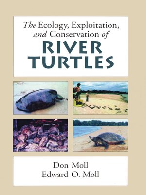 cover image of The Ecology, Exploitation and Conservation of River Turtles